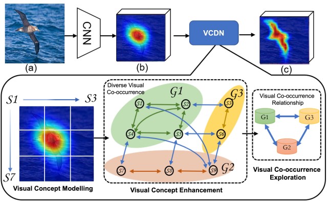 Preview of VCDN